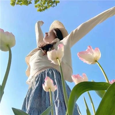 风尘奇侠传